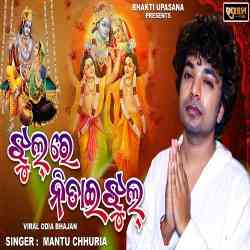 Jhul Re Nitai Jhul Mantu Chhuria